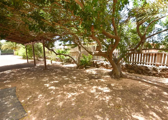 La Milagrosa Surf House & Cowork * Lajares