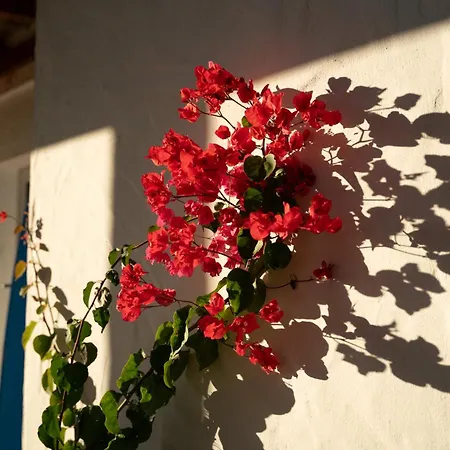 컨트리하우스 La Milagrosa Surf House & Cowork