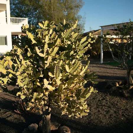 컨트리하우스 La Milagrosa Surf House & Cowork 라하레스