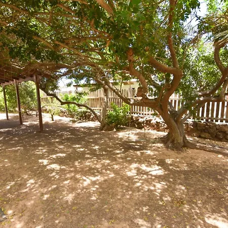 La Milagrosa Surf House & Cowork * Lajares