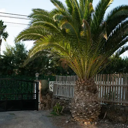 Летний дом La Milagrosa Surf House & Cowork *