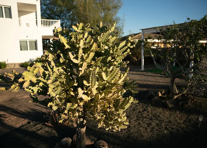 Kır Evi La Milagrosa Surf House & Cowork Lajares